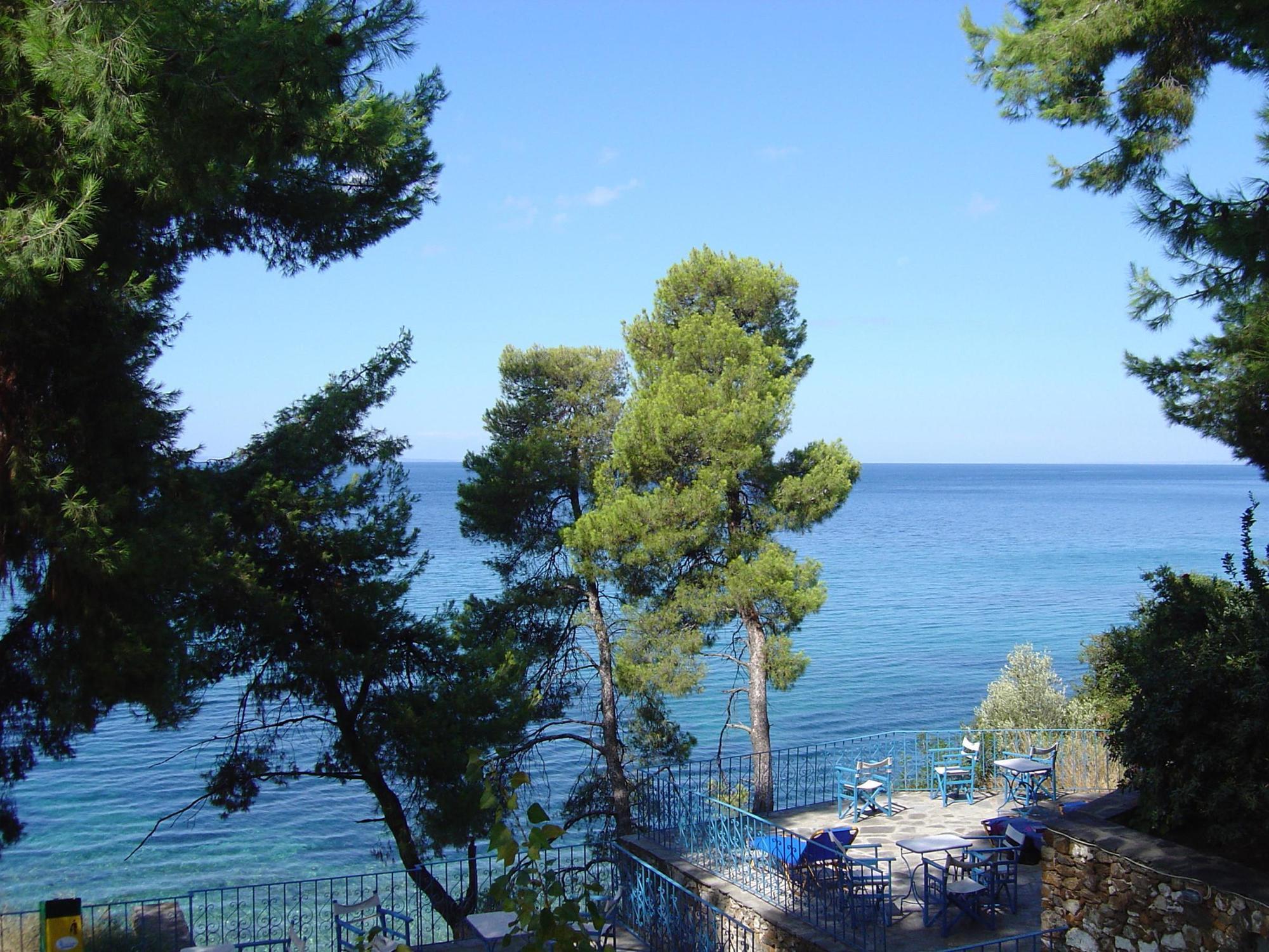 Virginia Hotel Σιθωνία Εξωτερικό φωτογραφία
